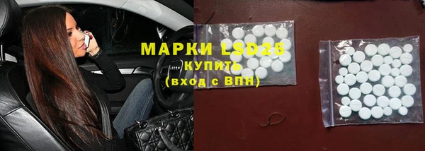 СК Михайловск