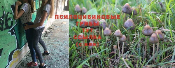 a pvp Михайлов