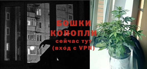 МДПВ Мегион