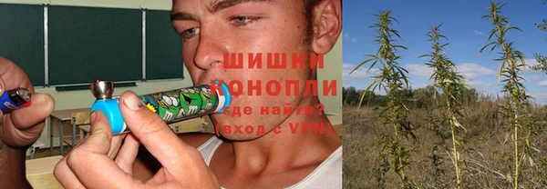 дмт Медвежьегорск