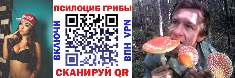 Купить Нерюнгри Псилоцибиновые грибы GOLDEN TEACHER